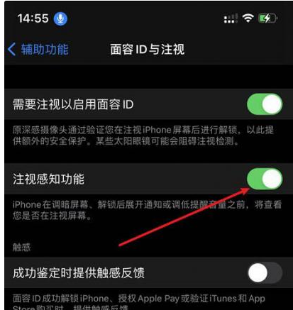 东安苹果14维修网点分享iPhone14注视感知功能有什么用 